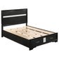 Miranda 4-piece Full Bedroom Set Black