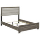 Wright 52-inch Upholstered Eastern King Bed Brown Oak