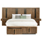 Terrace 2-drawer Queen Storage Bed Ash Brown